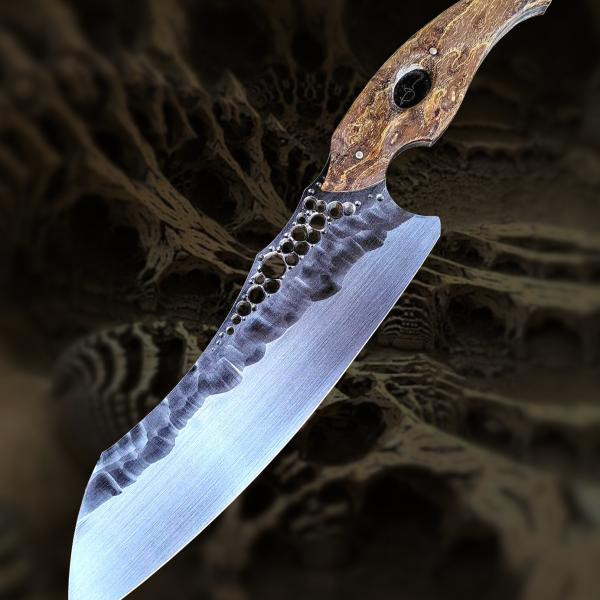 Mégaptera 11